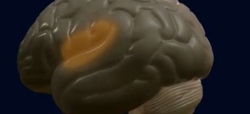 La app [re]membr busca mejorar la calidad de vida de las personas que sufren alzheimer